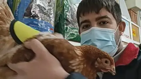 Esteban Couso, chaleco reflectante para gallinas Esteban Couso, chaleco reflectante para gallinas