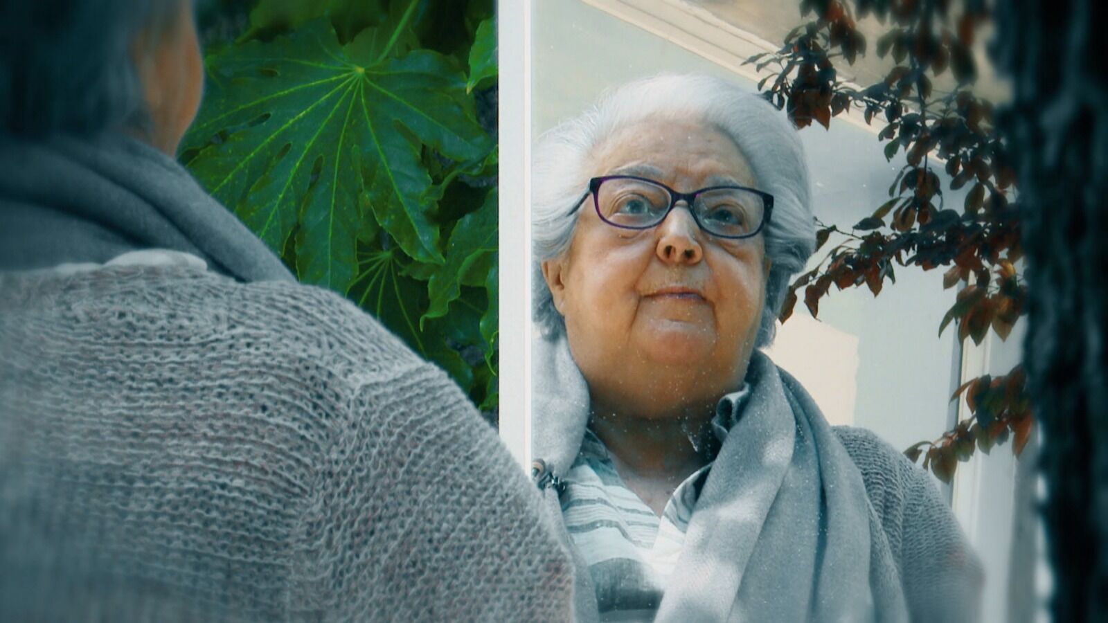 Ana María Pérez del Campo: 