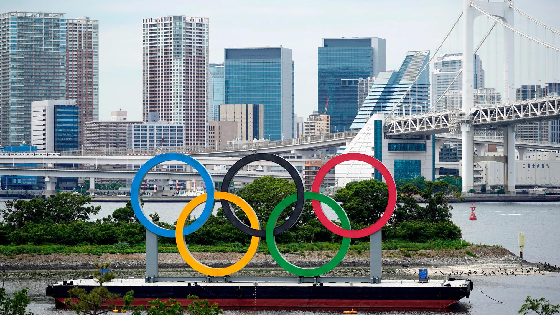 Unos 10.000 voluntarios de los Juegos Olímpicos de Tokio han abandonado en las últimas semanas