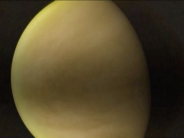 La NASA vuelve a Venus 