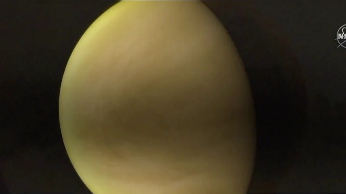 La NASA vuelve a Venus La NASA vuelve a Venus