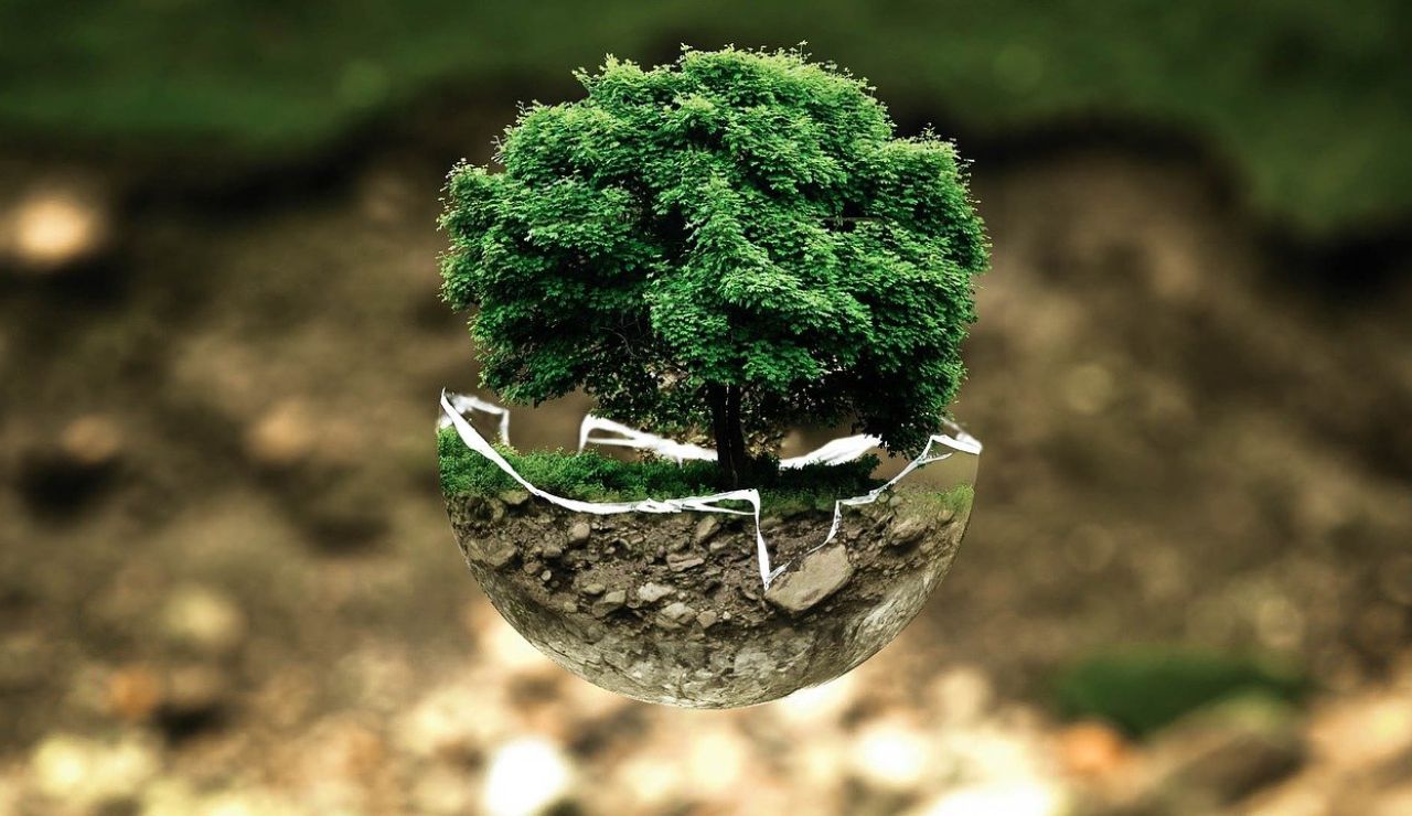 Día Mundial del Medio Ambiente 2021: ¿Por qué se celebra el 5 de junio? Día Mundial del Medio Ambiente 2021: ¿Por qué se celebra el 5 de junio?