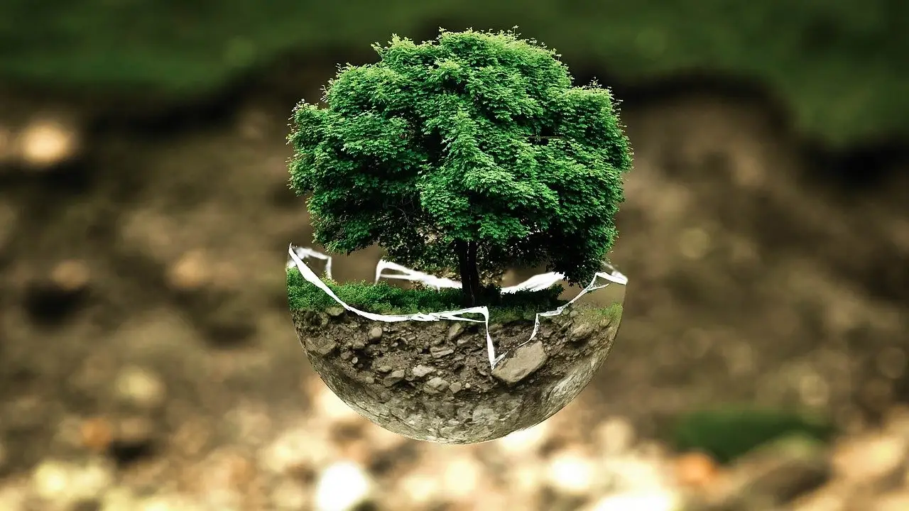  D&iacute;a Mundial del Medio Ambiente 2021: &iquest;Por qu&eacute; se celebra el 5 de junio?