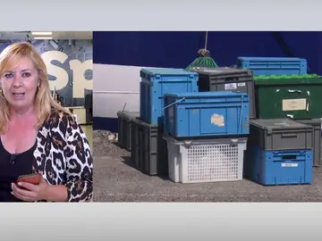 Investigación niñas Tenerife. Investigación niñas Tenerife.