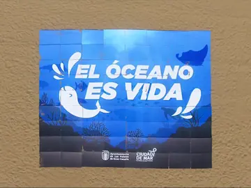 océano vida océano vida