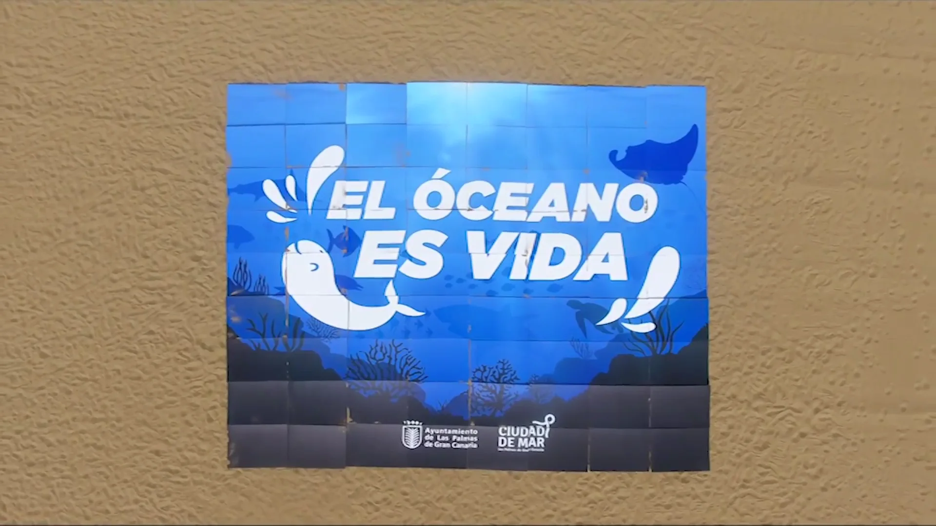 oc&eacute;ano vida