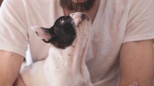 Perro con su due&ntilde;o.