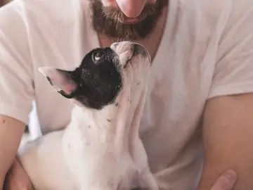 Perro con su dueño. Perro con su dueño.