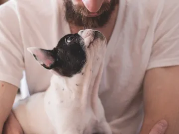 Perro con su dueño. Perro con su dueño.
