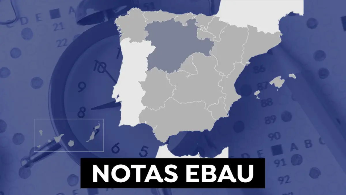 Evau 2021: ¿Cuándo salen las notas de selectividad? Fechas por comunidad Evau 2021: ¿Cuándo salen las notas de selectividad? Fechas por comunidad
