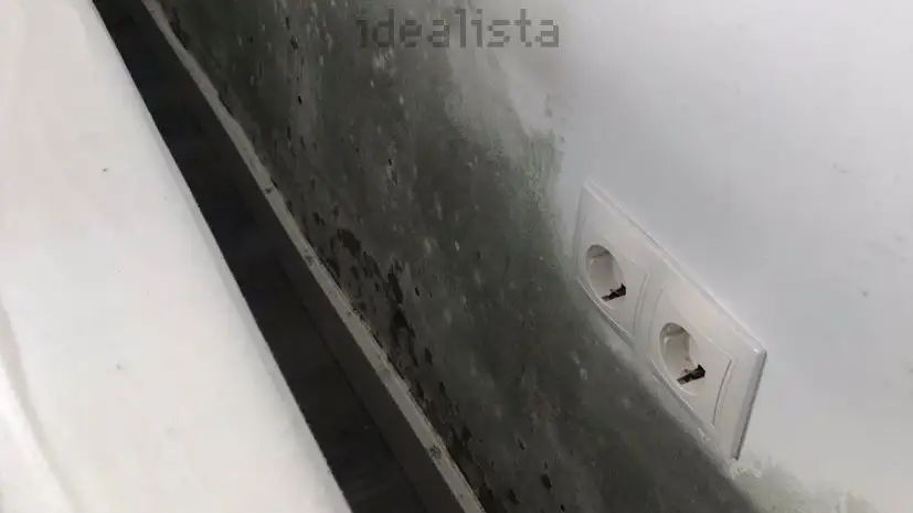 Caro, peque&ntilde;o y con hongos, el anuncio en Idealista que indigna en las redes