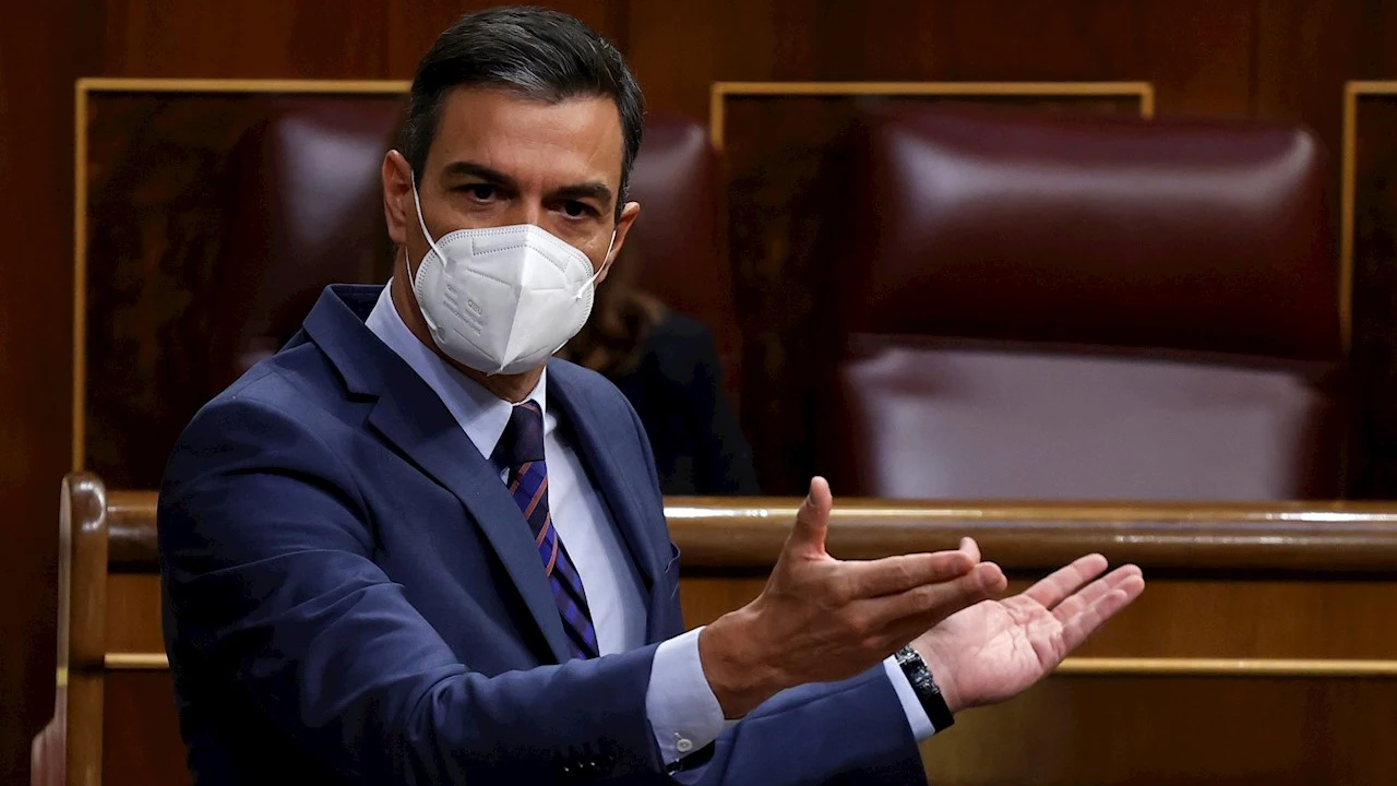 Pedro S&aacute;nchez