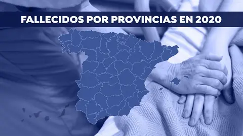 Fallecidos por provincias en 2020 INE