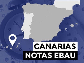 Notas Evau Canarias 2021: Consultar los resultados de la selectividad