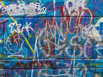 La Comunidad de Madrid endurecerá las sanciones al abandono de excrementos caninos y a grafitis La Comunidad de Madrid endurecerá las sanciones al abandono de excrementos caninos y a grafitis