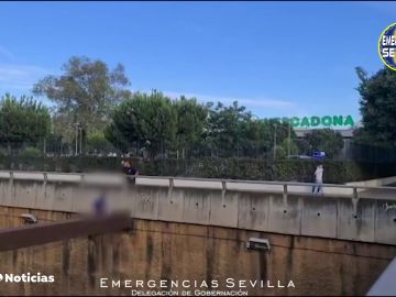 Un bombero de Sevilla consigue evitar que un hombre salte al vacío