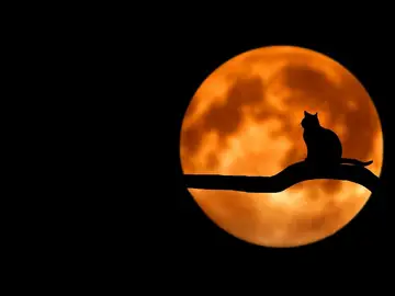 Cómo y dónde ver la Superluna de fresa hoy desde España Cómo y dónde ver la Superluna de fresa hoy desde España