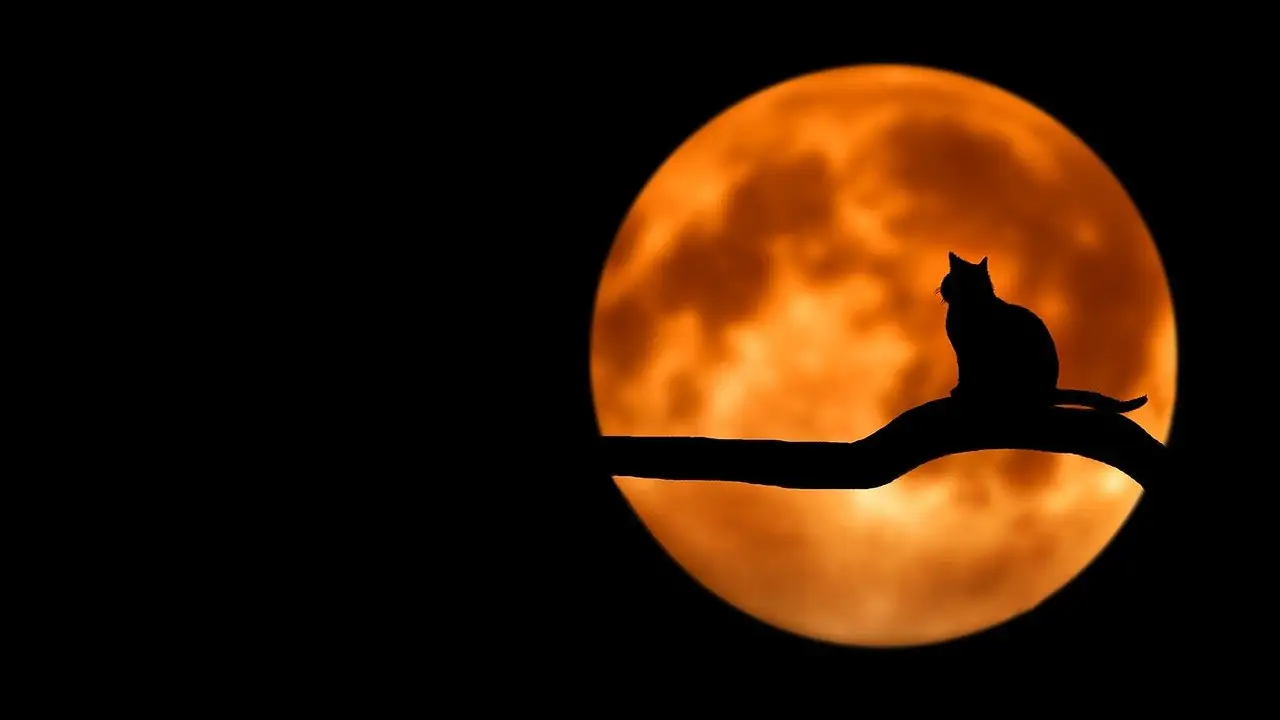 Cómo y dónde ver la Superluna de fresa hoy desde España Cómo y dónde ver la Superluna de fresa hoy desde España