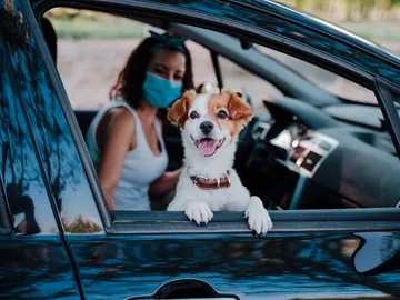 Viajes y mascotas: todo lo que tienes que saber Viajes y mascotas: todo lo que tienes que saber
