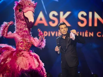 José Mota ve la luz tras la pista robada del Flamenco: “No deberíais de haber enseñado esto” José Mota ve la luz tras la pista robada del Flamenco: “No deberíais de haber enseñado esto”