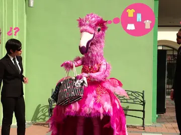 El Flamenco y sus grandes pistas: su música favorita, su lado benéfico y un gran secreto El Flamenco y sus grandes pistas: su música favorita, su lado benéfico y un gran secreto