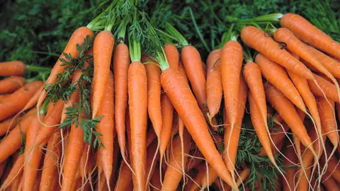 Zanahorias Zanahorias