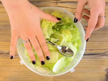 Lechuga Lechuga