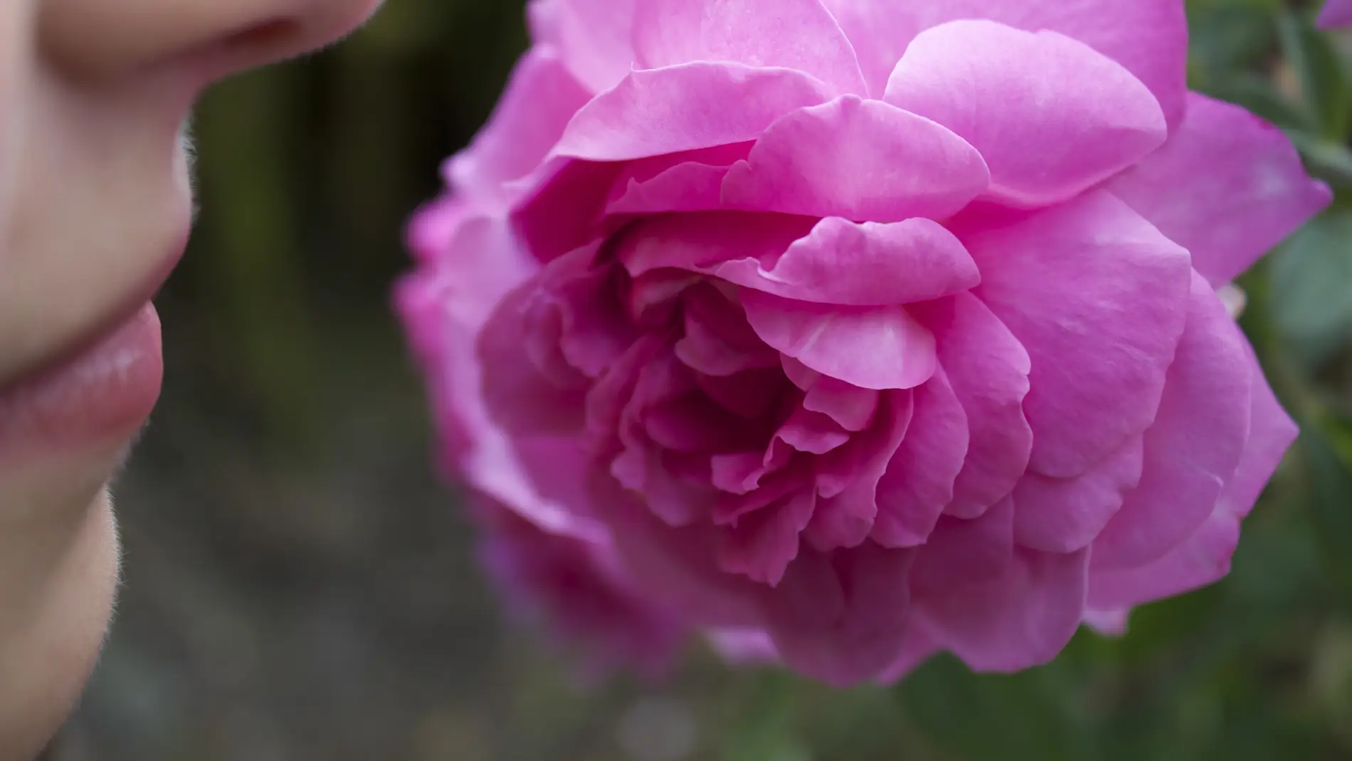 ¡Le pudo provocar la muerte! Una usuaria de TikTok juga con una planta venenosa