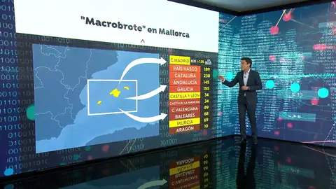 macrobrote macrobrote