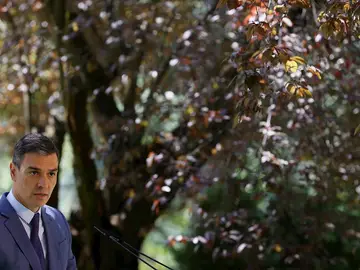 El presidente del Gobierno, Pedro Sánchez El presidente del Gobierno, Pedro Sánchez
