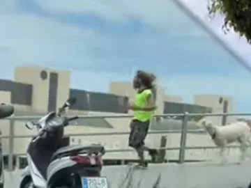 Deporte por Gran Canaria junto a su oveja Deporte por Gran Canaria junto a su oveja