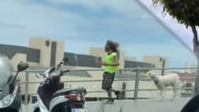 El runner pastor sorprende a los viandantes en Las Palmas de Gran Canaria