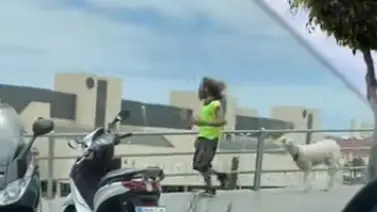 Deporte por Gran Canaria junto a su oveja