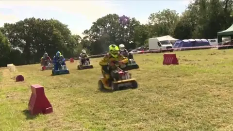 cortacesped cortacesped