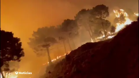 El incendio en Castellví de Rosanes y Martorell (Barcelona) ha calcinado más de 150 hectáreas El incendio en Castellví de Rosanes y Martorell (Barcelona) ha calcinado más de 150 hectáreas