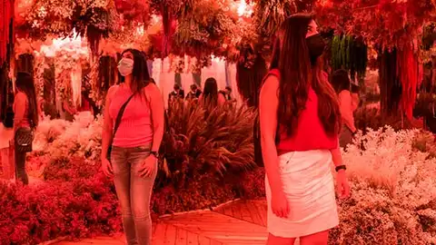 Corona Paradise, trasládate a auténticos paraísos desde el corazón de Madrid Corona Paradise, trasládate a auténticos paraísos desde el corazón de Madrid