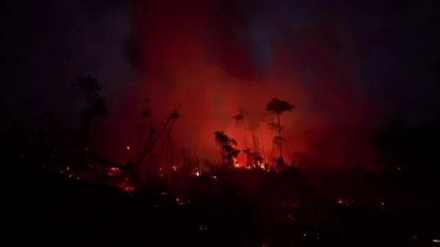 Junio ha sido el mes con m&aacute;s incendios en el Amazonas brasile&ntilde;o de los &uacute;ltimos 14 a&ntilde;os