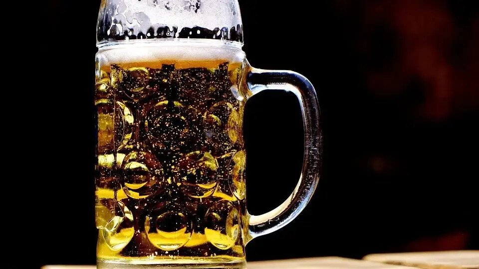 El consumo de cerveza es beneficioso para la salud: as&iacute; lo respalda el CSIC