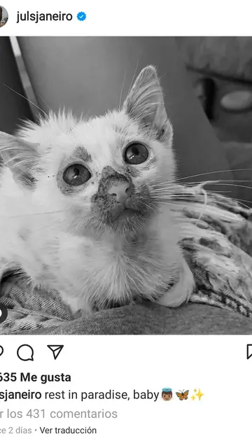 Zoe, gata de Julia Janeiro DESCANSA EN PAZ