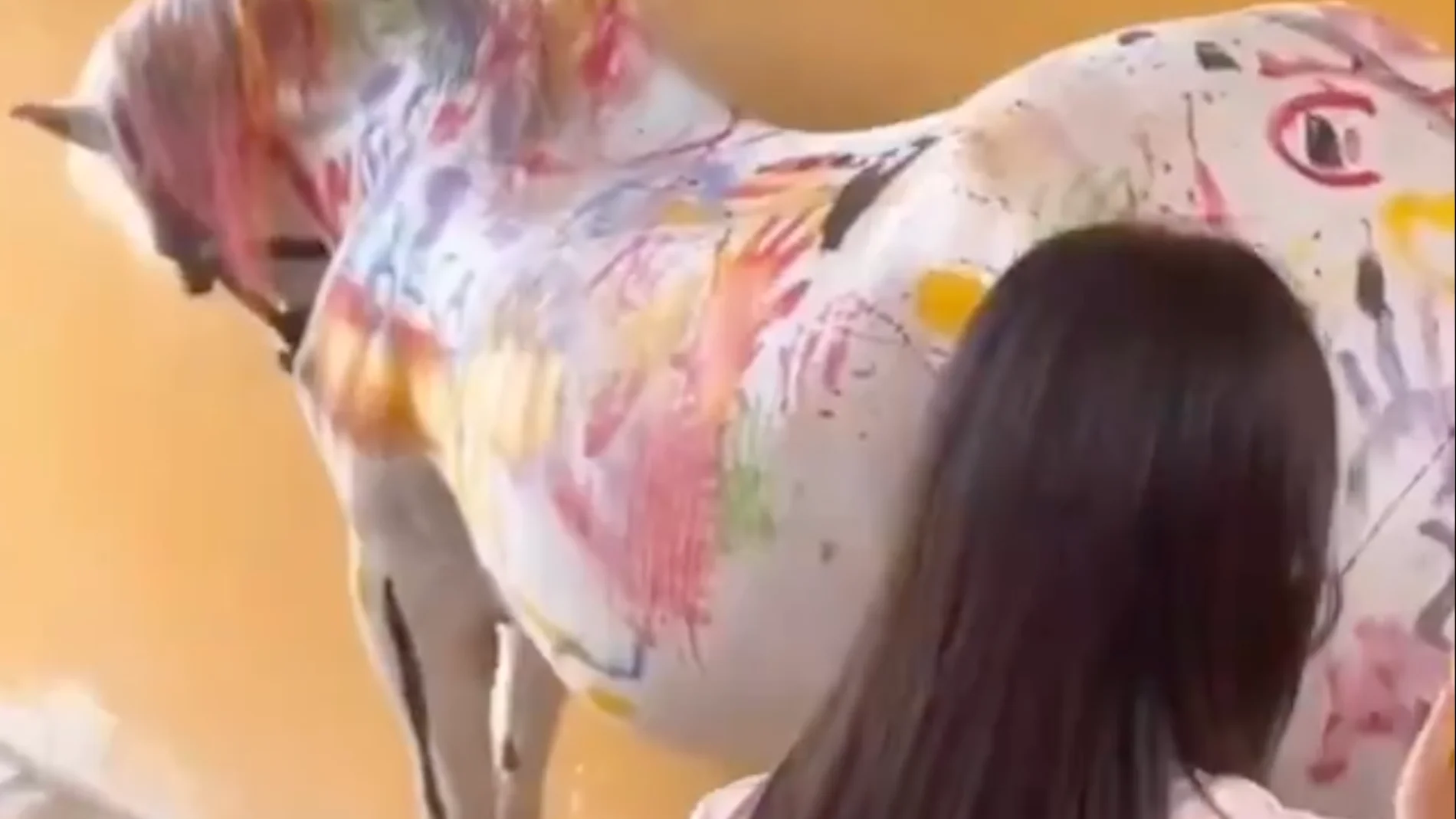 El cursillo infantil en Murcia donde los niños pintan la piel de un caballo que ha creado indignación en redes 