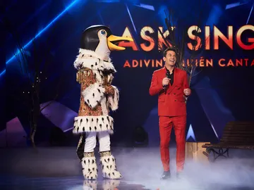 El Pingüino deja locos a los investigadores con su espectacular voz: “Ha cantado increíble” El Pingüino deja locos a los investigadores con su espectacular voz: “Ha cantado increíble”