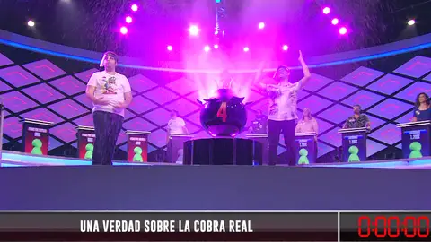 Una cobra aterra a ‘Primos por sorpresa’: ¡se quedan sin tiempo para desactivar la bomba! Una cobra aterra a ‘Primos por sorpresa’: ¡se quedan sin tiempo para desactivar la bomba!