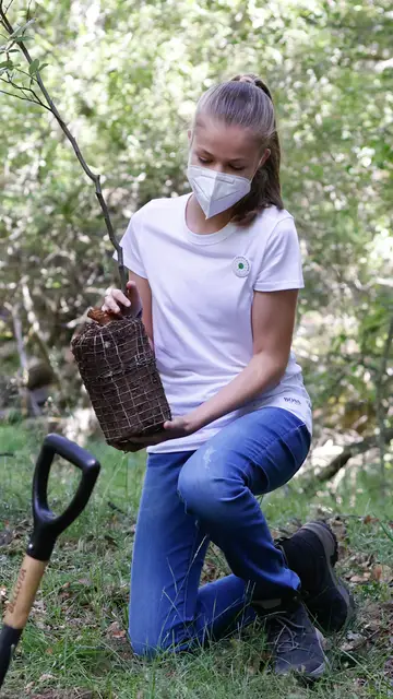 La princesa Leonor plantando un árbol La princesa Leonor plantando un árbol
