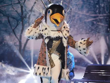 El Pingüino conquista a los investigadores al cantar ‘Hola mi amor’ El Pingüino conquista a los investigadores al cantar ‘Hola mi amor’
