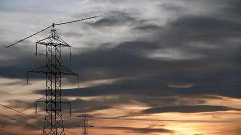 Cientos de estorninos posados sobre la torre de un tendido eléctrico de Tudela (Navarra) Cientos de estorninos posados sobre la torre de un tendido eléctrico de Tudela (Navarra)