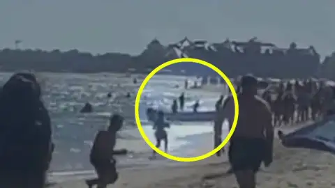 Narcolancha huelva Narcolancha huelva