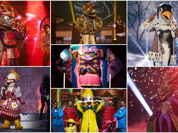 ¿Qué actuación de la séptima gala de 'Mask Singer' ha sido tu favorita? ¡Vota por ella! ¿Qué actuación de la séptima gala de 'Mask Singer' ha sido tu favorita? ¡Vota por ella!