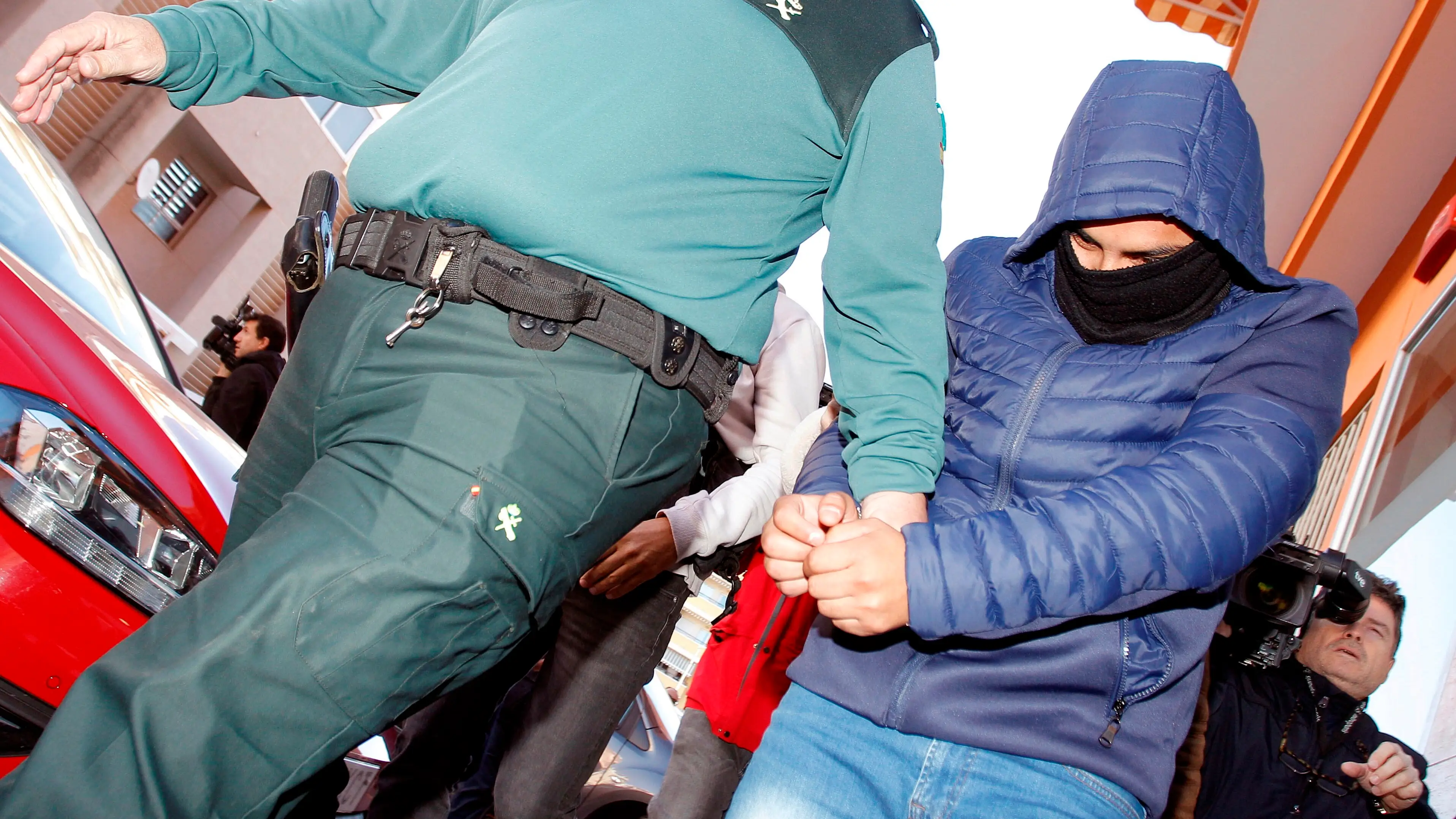 Uno de los miembros de la 'manada de Callosa' 