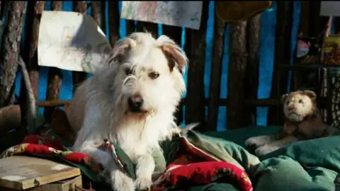 El perro de 'Stranger Things' El perro de 'Stranger Things'