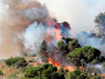 El incendio de Cap de Creus ha quemado ya 500 hectáreas y su origen podría ser una colilla